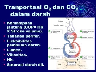 Fisioterapi-Muskuloskeletal-dan-Bedah-1-Pertemuan-2.ppt