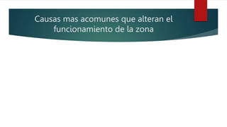 Causas mas acomunes que alteran el
funcionamiento de la zona
 