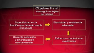 Fisioterapia deportiva.pdf