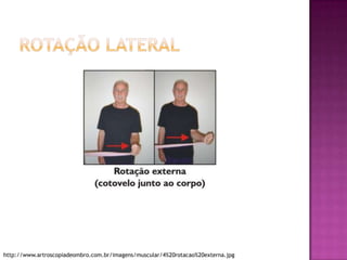 Rotação lateralhttp://www.artroscopiadeombro.com.br/imagens/muscular/4%20rotacao%20externa.jpg