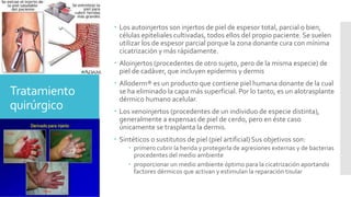 Tratamiento
quirúrgico
 Los autoinjertos son injertos de piel de espesor total, parcial o bien,
células epiteliales cultivadas, todos ellos del propio paciente. Se suelen
utilizar los de espesor parcial porque la zona donante cura con mínima
cicatrización y más rápidamente.
 Aloinjertos (procedentes de otro sujeto, pero de la misma especie) de
piel de cadáver, que incluyen epidermis y dermis
 Alloderm® es un producto que contiene piel humana donante de la cual
se ha eliminado la capa más superficial. Por lo tanto, es un alotrasplante
dérmico humano acelular.
 Los xenoinjertos (procedentes de un individuo de especie distinta),
generalmente a expensas de piel de cerdo, pero en éste caso
únicamente se trasplanta la dermis.
 Sintéticos o sustitutos de piel (piel artificial) Sus objetivos son:
 primero cubrir la herida y protegerla de agresiones externas y de bacterias
procedentes del medio ambiente
 proporcionar un medio ambiente óptimo para la cicatrización aportando
factores dérmicos que activan y estimulan la reparación tisular
 