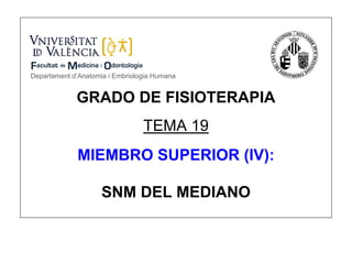 Departament d’Anatomia i Embriologia Humana


             GRADO DE FISIOTERAPIA
                                 TEMA 19
             MIEMBRO SUPERIOR (IV):

                     SNM DEL MEDIANO
 