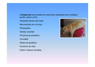 A terapia per si consiste em exercícios realizados sem qualquer
auxilio, assim como:
•Passeios lentos sem trela
•Movimentos em círculos
•Passadeira
•Sentar, levantar
•Prancha de equilíbrio
•Cavaletti
•Bolas de ginástica
•Carrinho de mão
•Subir e descer escadas
 