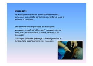 Massagens
As massagens melhoram a sensibilidade cutânea,
aumentam a circulação sanguínea, aumentam a força e
                   ç     g                     ç
resistência muscular.


Existem dois tipos específicos de massagem:
Massagem superficial “effleurage”- massagem leve e
lenta,
lenta que permite acalmar o animal relaxando os
                             animal,
músculos;
Massagem profunda “pétrisage” – massagem forte e
ritmada, f it essencialmente nos músculos.
 it d feita         i l   t       ú   l
 