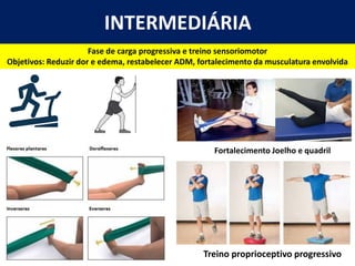 INTERMEDIÁRIA
Fase de carga progressiva e treino sensoriomotor
Objetivos: Reduzir dor e edema, restabelecer ADM, fortalecimento da musculatura envolvida
Fortalecimento Joelho e quadril
Treino proprioceptivo progressivo
 