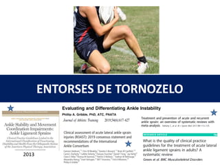 ENTORSES DE TORNOZELO
2013
 