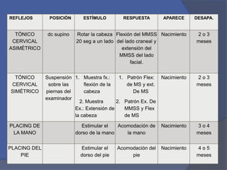 REFLEJOS POSICIÓN ESTÍMULO RESPUESTA APARECE DESAPA.
TÓNICO
CERVICAL
ASIMÉTRICO
dc supino Rotar la cabeza
20 seg a un lado
Flexión del MMSS
del lado craneal y
extensión del
MMSS del lado
facial.
Nacimiento 2 o 3
meses
TÓNICO
CERVICAL
SIMÉTRICO
Suspensión
sobre las
piernas del
examinador
1. Muestra fx.:
flexión de la
cabeza
2. Muestra
Ex.: Extensión de
la cabeza
1. Patrón Flex:
de MS y ext.
De MS
2. Patrón Ex. De
MMSS y Flex
de MS
Nacimiento 2 o 3
meses
PLACING DE
LA MANO
Estimular el
dorso de la mano
Acomodación de
la mano
Nacimiento 3 o 4
meses
PLACING DEL
PIE
Estimular el
dorso del pie
Acomodación del
pie
Nacimiento 4 o 5
meses
 