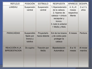 REFLEJO POSICIÓN ESTÍMULO RESPUESTA APARECE DESAPA.
LANDAU Suspensión
ventral
Suspensión
ventral
1.Hiperextensión
de la cabeza.
2. hiperex de
cabeza + cintura
escapular y
tronco.
3. todo lo anterior
+ MsSs y MsIs
4, 6 y 8
meses
respectiva
Mente
2 a 2 ½
años
PARACAÍDAS Suspendido
fijado por
tronco y
tobillos
Proyectarlo
hacia delante
Ext de los brazos
y de codos para
proteger la
cabeza
8 meses Perdura
REACCIÓN A LA
BIPEDESTACION
Dc supino Tracción por
MsSs
Bipedestación
Automática
8 a 10
meses
Al iniciar
marcha
 