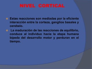 NIVEL CORTICAL
 Estas reacciones son mediadas por la eficiente
interacción entre la corteza, ganglios basales y
cerebelo.
 La maduración de las reacciones de equilibrio,
conduce al individuo hacia la etapa humana
bípeda del desarrollo motor y perduran en el
tiempo.
 