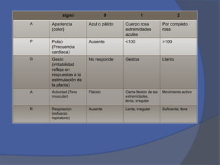 signo 0 1 2
A Apariencia
(color)
Azul o pálido Cuerpo rosa
extremidades
azules
Por completo
rosa
P Pulso
(Frecuencia
cardiaca)
Ausente <100 >100
G Gesto
(irritabilidad
refleja en
respuestas a la
estimulación de
la planta)
No responde Gestos Llanto
A Actividad (Tono
muscular)
Flácido Cierta flexión de las
extremidades,
lenta, irregular
Movimiento activo
R Respiracion
(esfuerzo
repiratorio)
Ausente Lenta, irregular Suficiente, llora
 