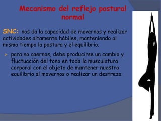 SNC: nos da la capacidad de movernos y realizar
actividades altamente hábiles, manteniendo al
mismo tiempo la postura y el equilibrio.
Mecanismo del reflejo postural
normal
 para no caernos, debe producirse un cambio y
fluctuación del tono en toda la musculatura
corporal con el objeto de mantener nuestro
equilibrio al movernos o realizar un destreza
 