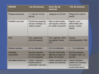 SIGNOS < de 36 semanas Entre 36y 38
semanas
> De 39 semanas
Pliegues plantares 1 o mas de 1/3 ant
del pie
pliegues en 2/3 ant Pliegues en toda la
planta
Pabellón auricular Fácilmente plegable,
escaso cartílago, no
vuelve a posic
Menos deformable,
cart regular, demora
en volver a posición
Rápido, poco
deformable cart
grueso, vuelve
rápido
Pelo Fino, aglutinado,
difícil de separar
Fino, aglutido, difícil
de separar (hasta
(37)
Grueso
individualizable (>38)
Nódulo mamario 0,5 cm diámetro 0,5-1cm diámetro  1 cm diámetro
Genitales
masculinos
Escroto pequeño
pocas arrugas, test
en cond inguinal
Escroto intermedio,
algunas arrugas en
testic. En escroto
Escroto pendular
arrugado, testc. En
escroto
Genitales femeninos Labios mayores
Rudimentarios,
sobresalen menores
Labios mayores casi
cubren los menores
Labios mayores
cubren los menores.
Leucorrea y/o
seudomestruacion
 