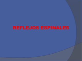 REFLEJOS ESPINALES
 