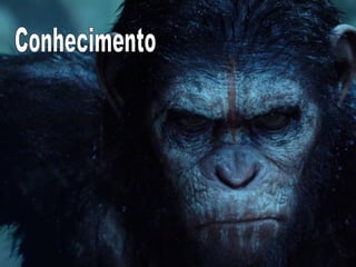 CONHECIMENTO 
Luis Henrique Cintra 
 