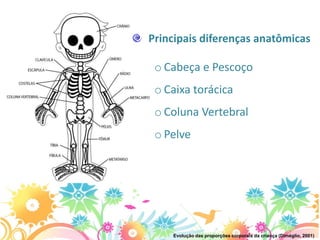 Principais diferenças anatômicas

 o Cabeça e Pescoço
 o Caixa torácica
 o Coluna Vertebral
 o Pelve




    Evolução das proporções corporais da criança (Diméglio, 2001)
 