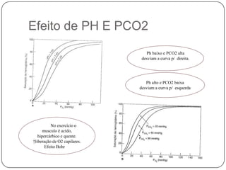  Efeito de PH E PCO2Ph baixo e PCO2 alta desviam a curva p/  direita.Ph alto e PCO2 baixa desviam a curva p/  esquerda            No exercício o musculo é acido, hipercárbico e quente. ↑liberação de O2 capilares.           Efeito Bohr  