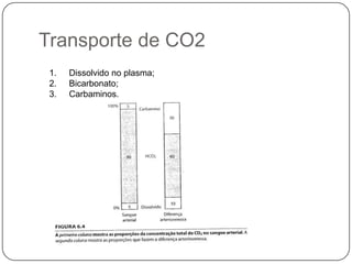 Transporte de CO2Dissolvido no plasma;Bicarbonato;Carbaminos.