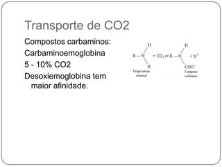 Transporte de CO2Compostos carbaminos:Carbaminoemoglobina5 - 10% CO2Desoxiemoglobina tem maior afinidade.