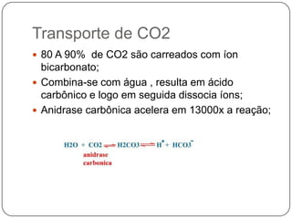 Transporte de CO280 A 90%  de CO2 são carreados com íon bicarbonato;Combina-se com água , resulta em ácido carbônico e logo em seguida dissocia íons;Anidrase carbônica acelera em 13000x a reação;