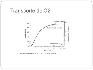 Transporte de O2Curva de dissociação do O2 em PH de 7,4, PCO2 de 40 mmHg e 37°C