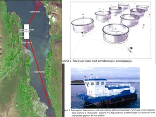 27.4.20152015©erlendursteinar@gmail.com 6
 