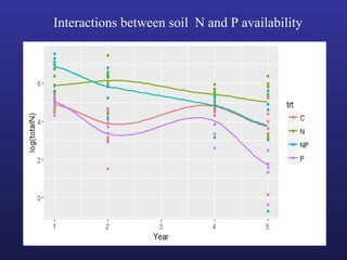 Interactions between soil N and P availability
 
