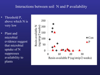 • Threshold P,
above which N is
very low
• Plant and
microbial
evidence suggest
that microbial
uptake of N
suppresses
availability to
plants
Interactions between soil N and P availability
 