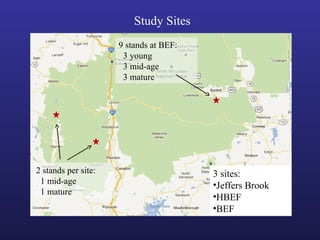 3 sites:
•Jeffers Brook
•HBEF
•BEF
2 stands per site:
1 mid-age
1 mature
9 stands at BEF:
3 young
3 mid-age
3 mature
Study Sites
 