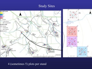 Study Sites
4 (sometimes 5) plots per stand
 