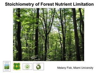 Stoichiometry of Forest Nutrient LimitationStoichiometry of Forest Nutrient Limitation
Melany Fisk, Miami University
 