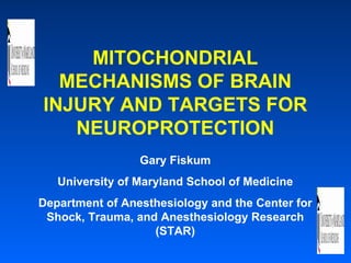 MITOCHONDRIAL MECHANISMS OF BRAIN INJURY AND TARGETS FOR NEUROPROTECTION Gary Fiskum University of Maryland School of Medicine Department of Anesthesiology and the Center for Shock, Trauma, and Anesthesiology Research (STAR) 