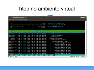 htop no ambiente virtual 