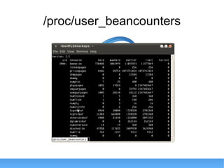 /proc/user_beancounters 