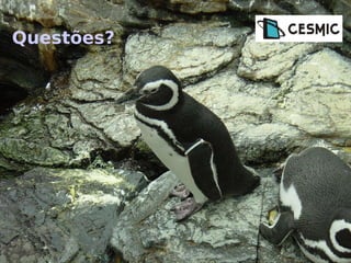 Configuração do sistema para que a sessão possa ser realizada 