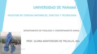 UNIVE
UNIVERSIDAD DE PANAMÁ
FACULTAD DE CIENCIAS NATURALES, EXACTAS Y TECNOLOGÍA
PANAMÁUNIVERSIDAD E DE PANAMÁ
DEPARTAMENTO DE FISIOLOGÍA Y COMPORTAMIENTO ANIMAL
PROF. GLORIA MONTENEGRO DE TRUJILLO, MSc
PROF. Gloria E. Montenegro G. de Trujillo MSc. 1
 