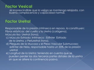 Factor Vesical
   es imprescindible que la vejiga se mantenga relajada, con
   buena complacencia y capacidad normal.


Factor Uretral
Responsable de la presión intrínseca en reposo, la constituyen:
Fibras elásticas: del cuello y la Uretra (colágeno).
Músculo liso: Uretral (tono).
 c) Músculo Estriado: Intrínseco : Esfínter Estriado
   de la Uretra, y Periuretral (tono).
 d) Pliegues de la Mucosa y el Plexo Vascular Submucoso:
    esfínter de Heiss, responsable hasta un 35% de la presión
    uretral
 e) Longitud de la Uretra: teniendo en cuenta que se
   pueden perder las dos terceras partes distales de la uretra
   sin que se altere la continencia pasiva.
 