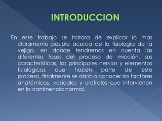 En este trabajo se tratara de explicar lo mas
  claramente posible acerca de la fisiología de la
  vejiga, en donde tendremos en cuenta las
  diferentes fases del proceso de micción, sus
  características, los principales nervios y elementos
  fisiológicos  que       hacen     parte    de   este
  proceso, finalmente se dará a conocer los factores
  anatómicos, vesicales y uretrales que intervienen
  en la continencia normal.
 