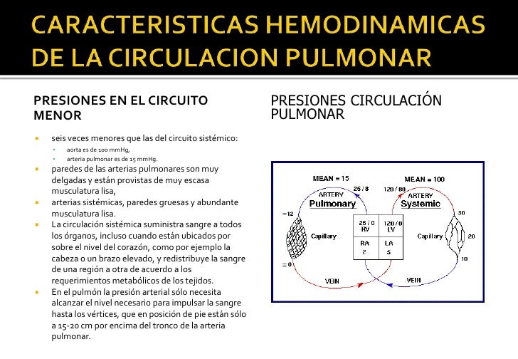 Aumentará el miembro en el espesor por los ejercicios