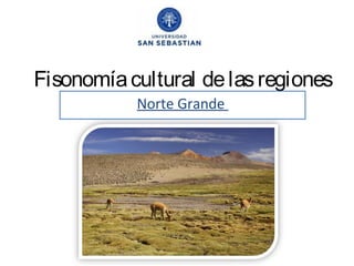 Fisonomía cultural de las regiones
Norte Grande

 