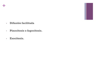 +


    •    Difusión facilitada

    •    Pinocitosis o fagocitosis.

    •    Exocitosis.
 