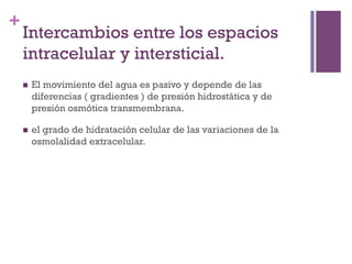 +
    Intercambios entre los espacios
    intracelular y intersticial.
    n    El movimiento del agua es pasivo y depende de las
          diferencias ( gradientes ) de presión hidrostática y de
          presión osmótica transmembrana.

    n    el grado de hidratación celular de las variaciones de la
          osmolalidad extracelular.
 