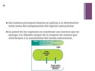 +


    n    Los mismos principios básicos se aplican a la distribución
          entre estos dos componentes del espacio extracelular.

    n    La pared de los capilares no constituye una barrera que se
          oponga a la difusión simple de la mayoría de solutos que
          contribuyen a la osmolalidad del medio extracelular. 
 