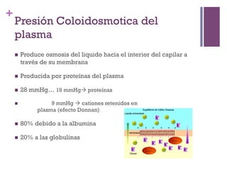 +
    Presión Coloidosmotica del
    plasma
    n    Produce osmosis del liquido hacia el interior del capilar a
          través de su membrana

    n    Producida por proteínas del plasma

    n    28 mmHg… 19 mmHgà proteínas

    n               9 mmHg à cationes retenidos en
                plasma (efecto Donnan)

    n    80% debido a la albumina

    n    20% a las globulinas
 