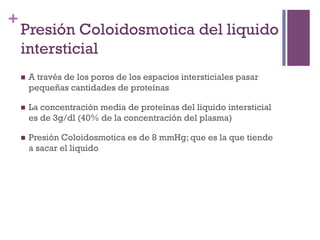 +
    Presión Coloidosmotica del liquido
    intersticial
    n    A través de los poros de los espacios intersticiales pasar
          pequeñas cantidades de proteínas

    n    La concentración media de proteínas del liquido intersticial
          es de 3g/dl (40% de la concentración del plasma)

    n    Presión Coloidosmotica es de 8 mmHg; que es la que tiende
          a sacar el liquido
 