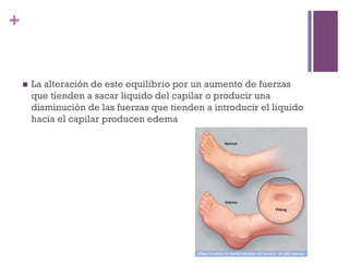+


    n    La alteración de este equilibrio por un aumento de fuerzas
          que tienden a sacar liquido del capilar o producir una
          disminución de las fuerzas que tienden a introducir el liquido
          hacia el capilar producen edema
 
