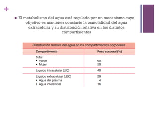 +
    n    El metabolismo del agua está regulado por un mecanismo cuyo
              objetivo es mantener constante la osmolalidad del agua
               extracelular y su distribución relativa en los distintos
                                  compartimentos
 