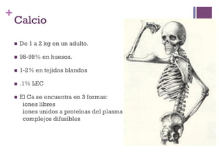 +
    Calcio
    n    De 1 a 2 kg en un adulto.

    n    98-99% en huesos.

    n    1-2% en tejidos blandos

    n    .1% LEC

    n    El Ca se encuentra en 3 formas:
           iones libres
           iones unidos a proteínas del plasma
           complejos difusibles
 