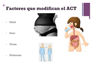 +
    Factores que modifican el ACT

    •    Edad



    •    Sexo



    •    Grasa



    •    Embarazo
 