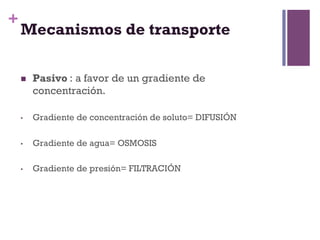 +
    Mecanismos de transporte

    n    Pasivo : a favor de un gradiente de
          concentración.

    •     Gradiente de concentración de soluto= DIFUSIÓN

    •     Gradiente de agua= OSMOSIS

    •     Gradiente de presión= FILTRACIÓN
 