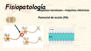Fisiopatología
Impulsos nerviosos---impulsos eléctricos
Potencial de acción (PA)
 